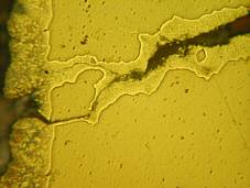 liquid metal embrittlement